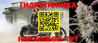 кокс Кунгур