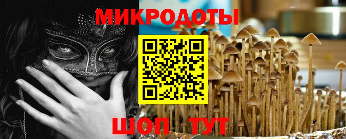 Донецк  Псилоцибиновые грибы Psilocybine cubensis  Вход с VPN  Псилоцибиновые грибы Magic Shrooms 